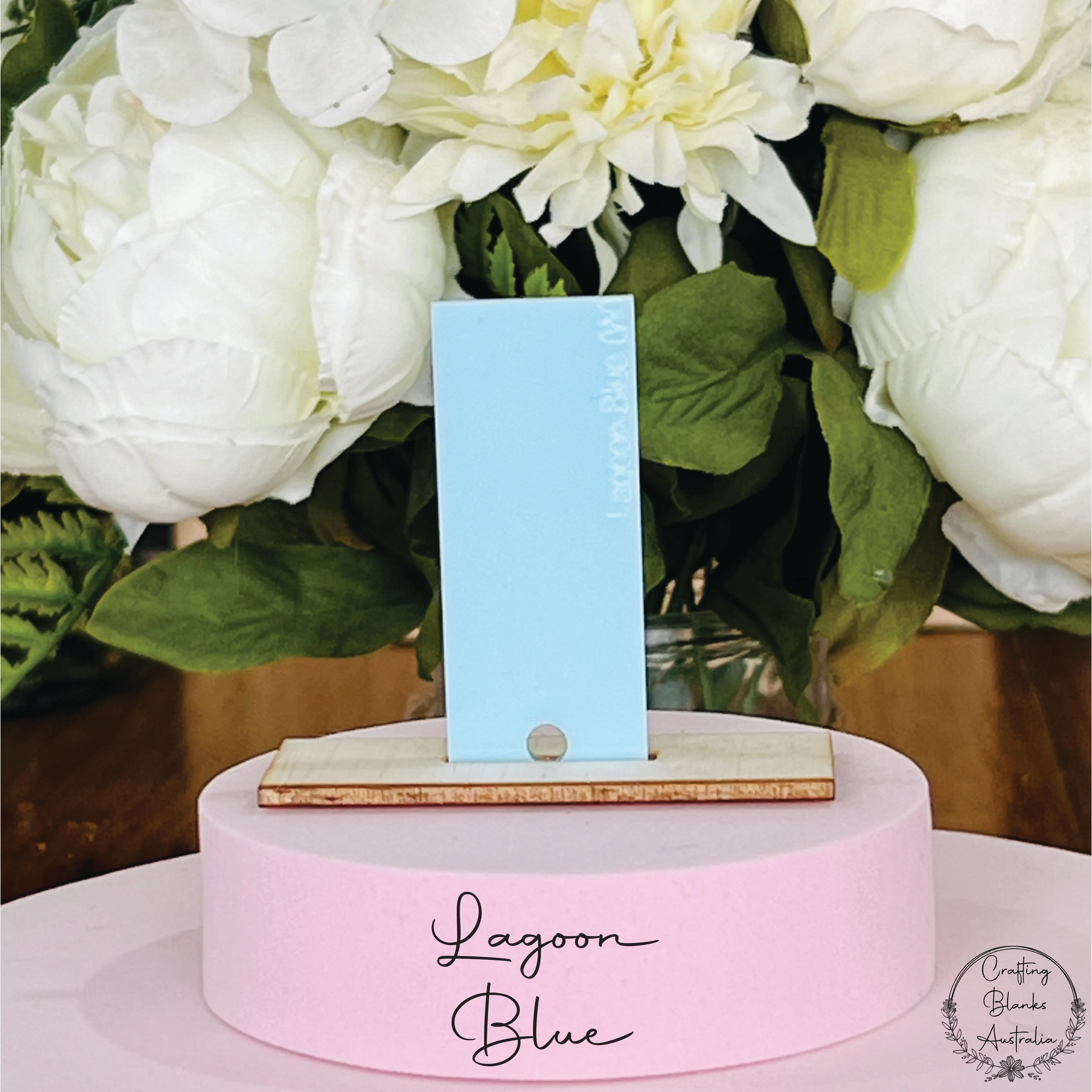 Apple • Gift Card Holder • 100mm