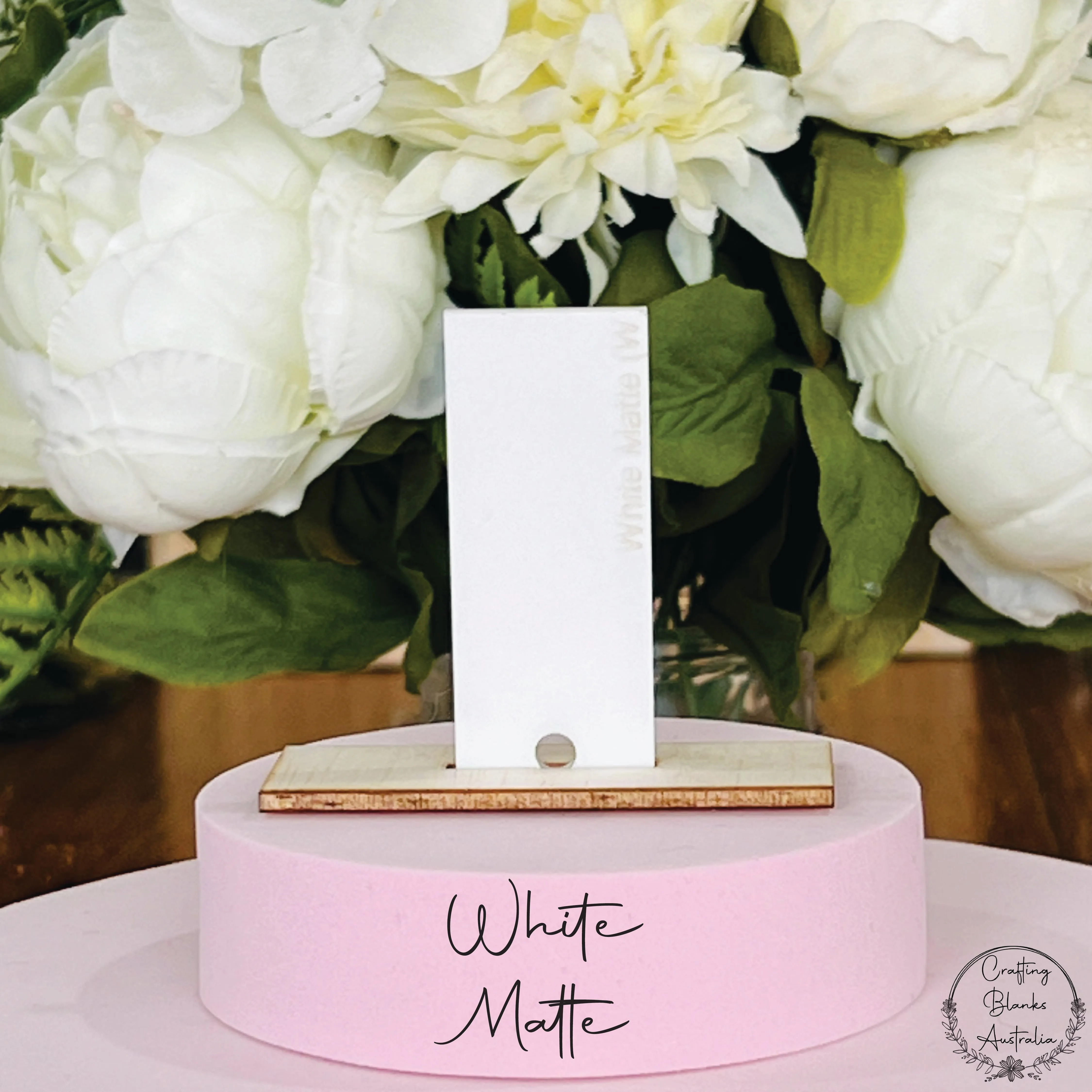 Apple • Gift Card Holder • 100mm