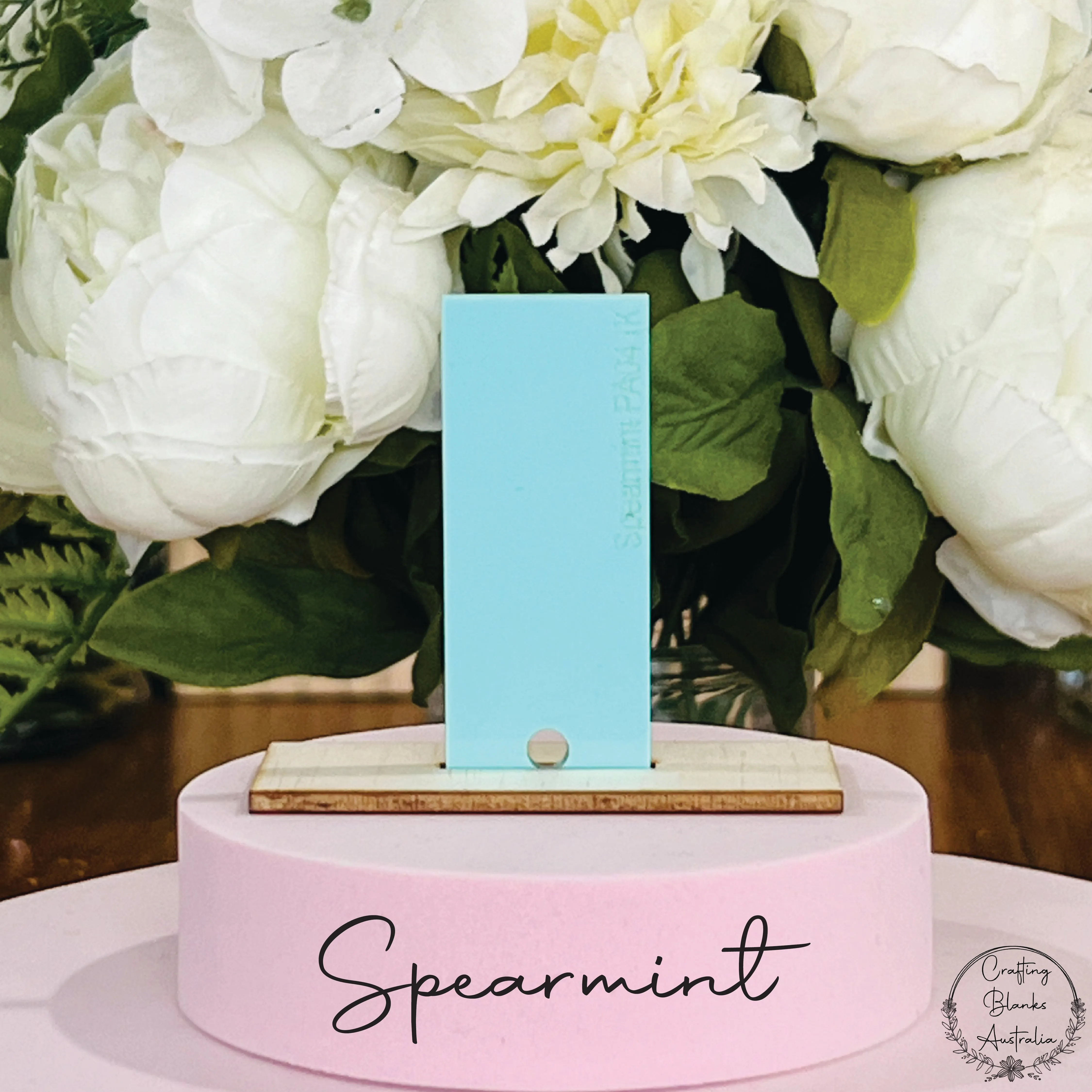 Apple • Gift Card Holder • 100mm