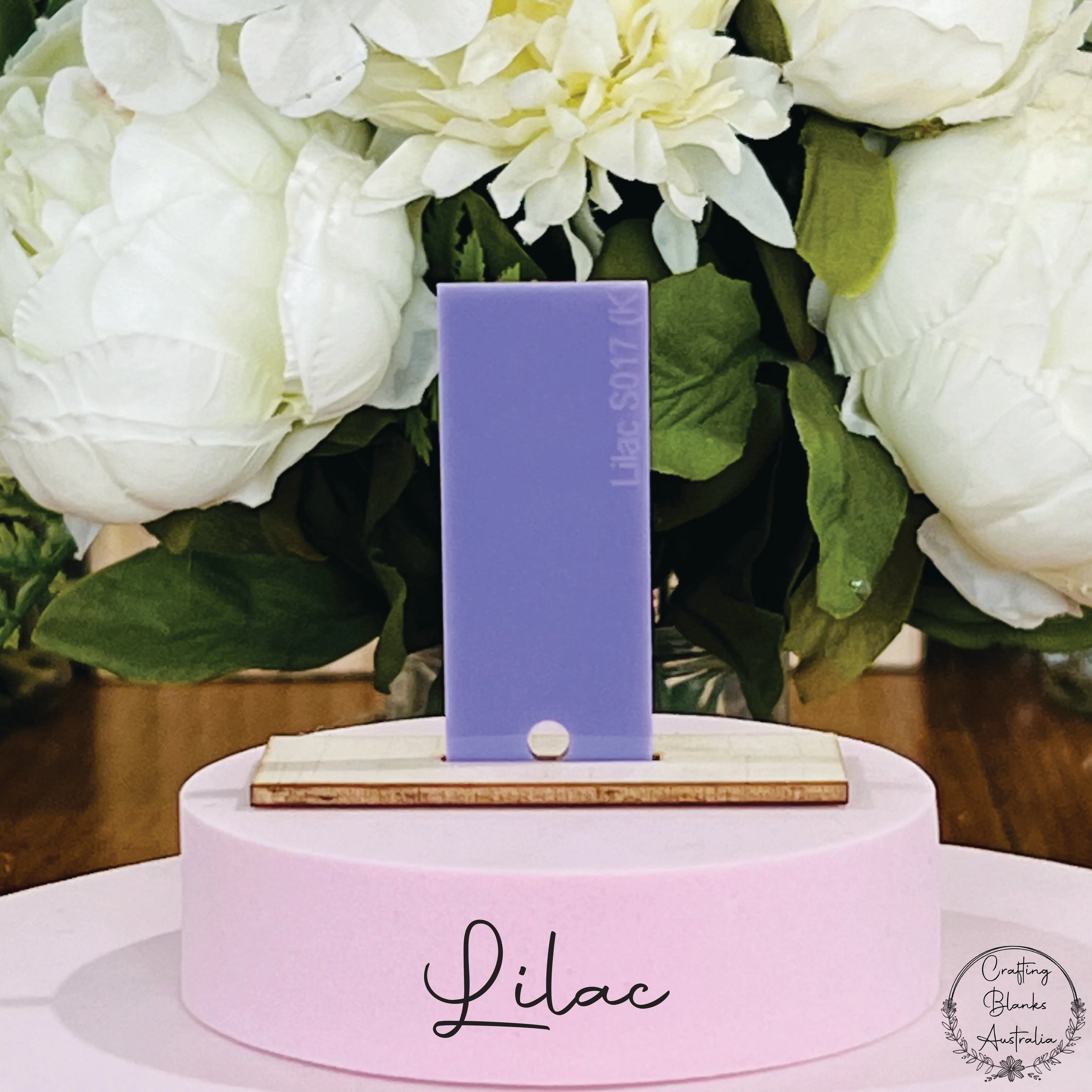 Apple • Gift Card Holder • 100mm