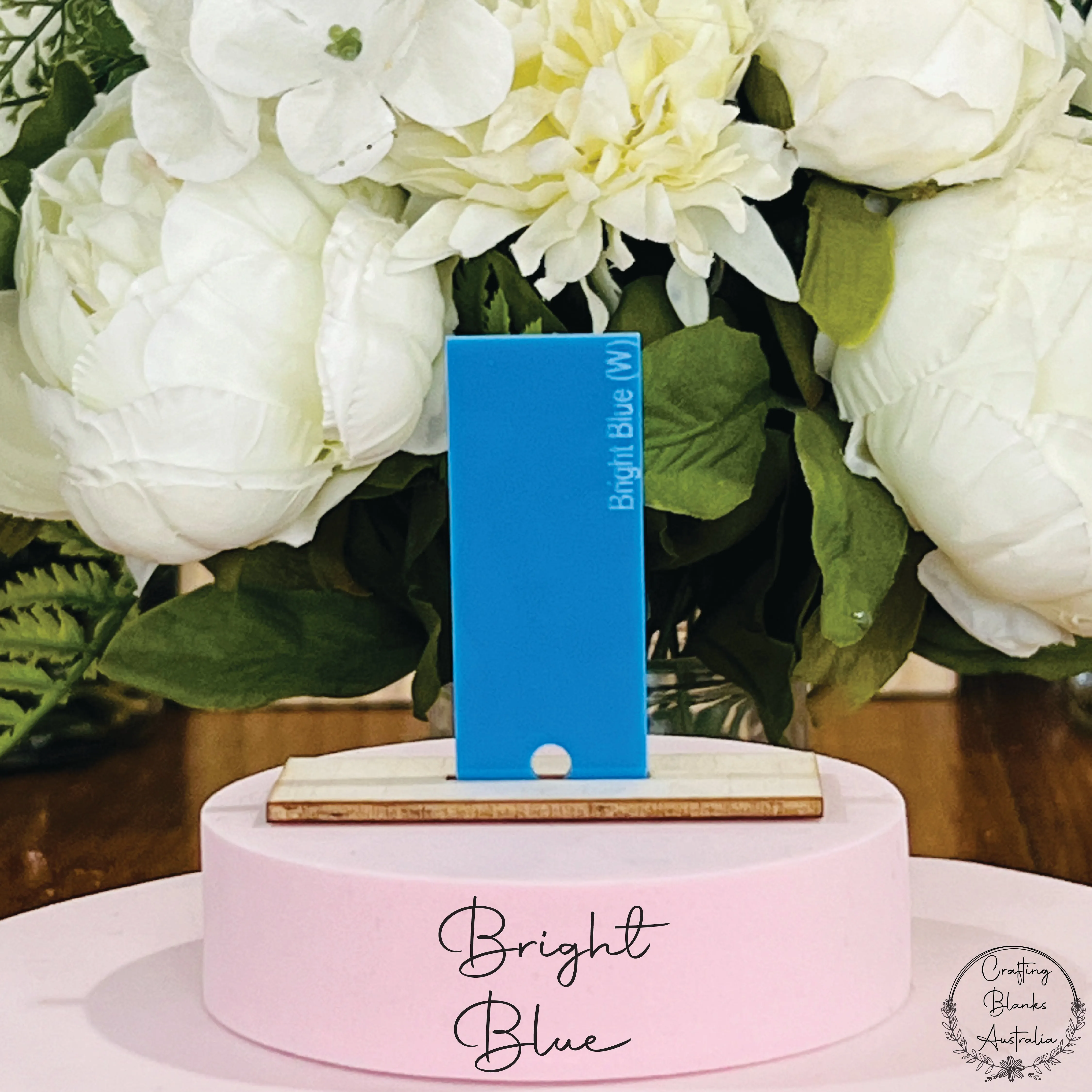 Apple • Gift Card Holder • 100mm