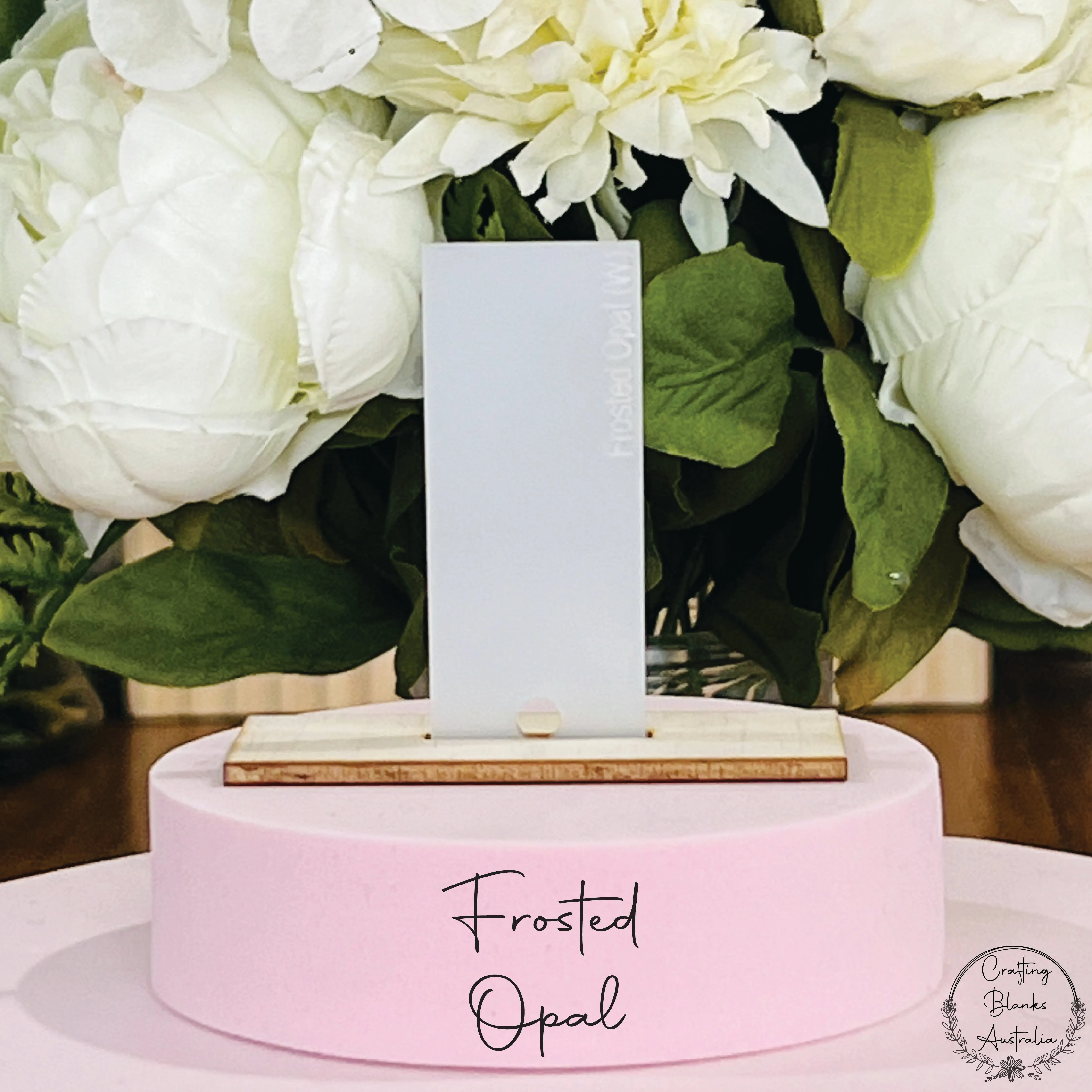 Apple • Gift Card Holder • 100mm