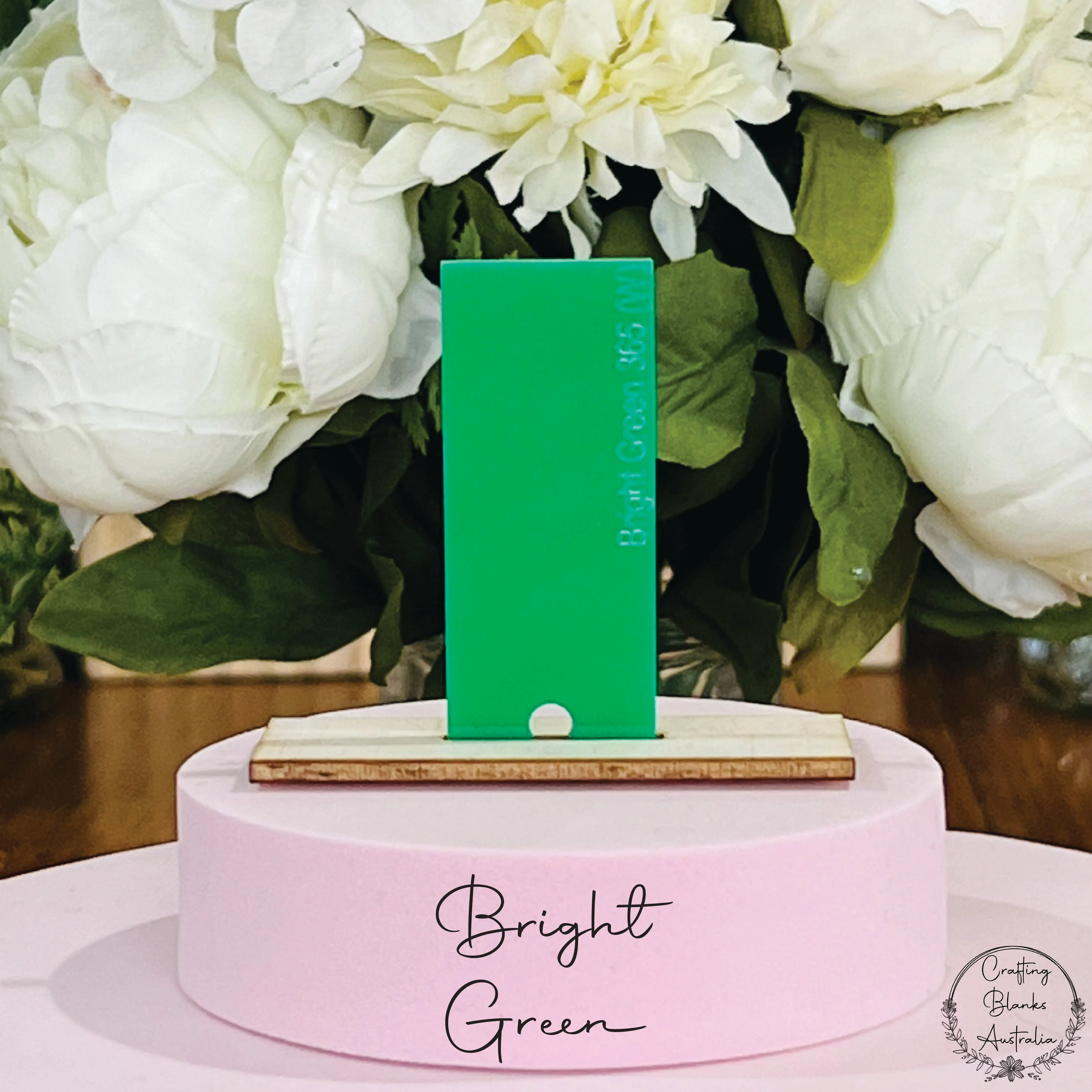 Apple • Gift Card Holder • 100mm