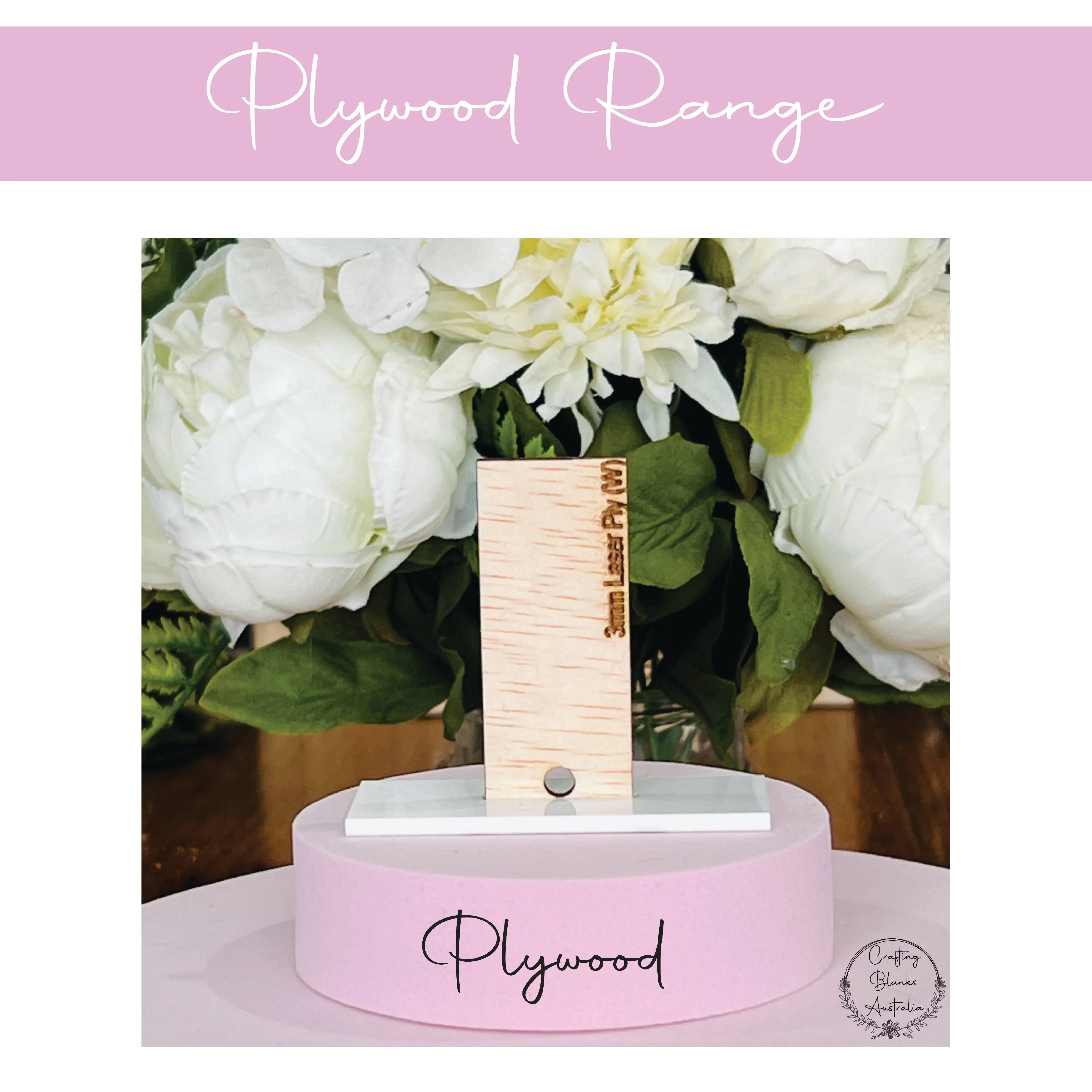 Apple • Gift Card Holder • 100mm