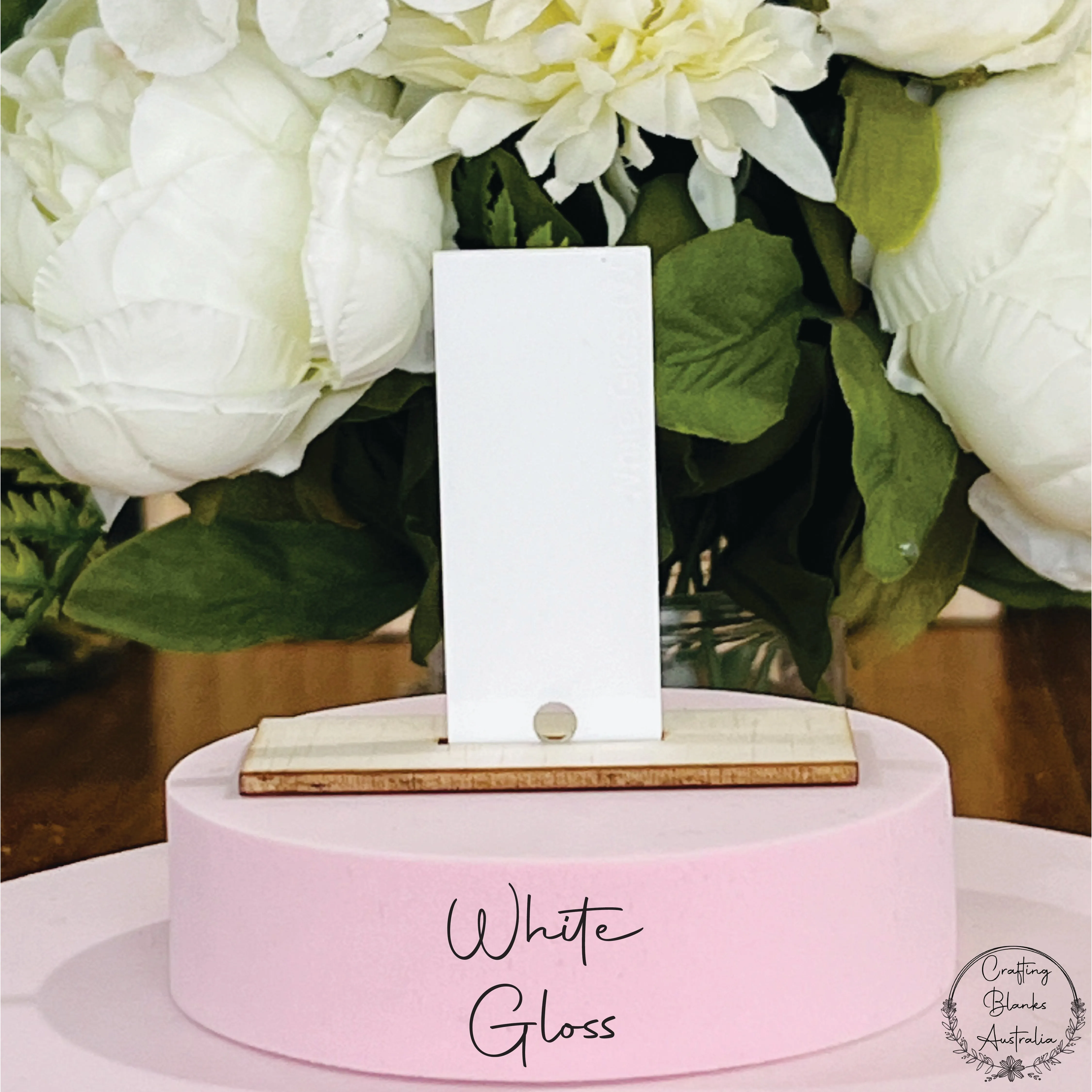 Apple • Gift Card Holder • 100mm