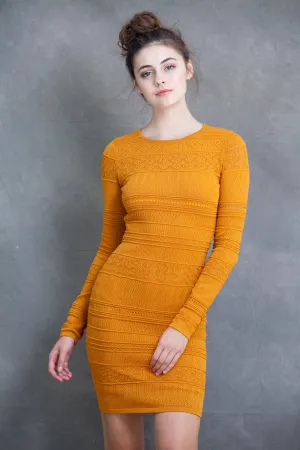 Chloe Long Sleeve Mini Dress