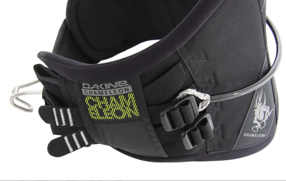 Dakine Chameleon - Black