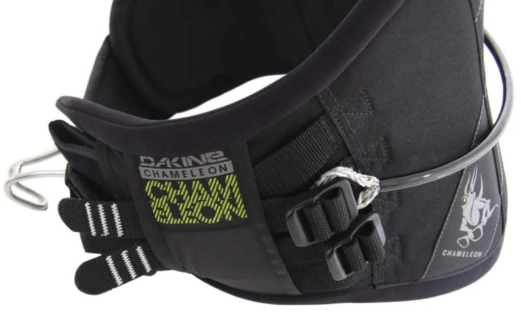 Dakine Chameleon - Black