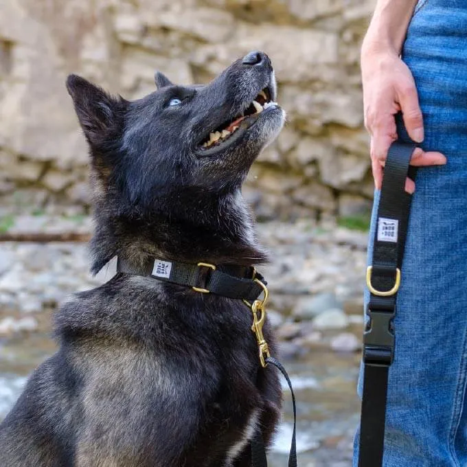 Dog   Bone Multi-way Adjustable Leash | Black