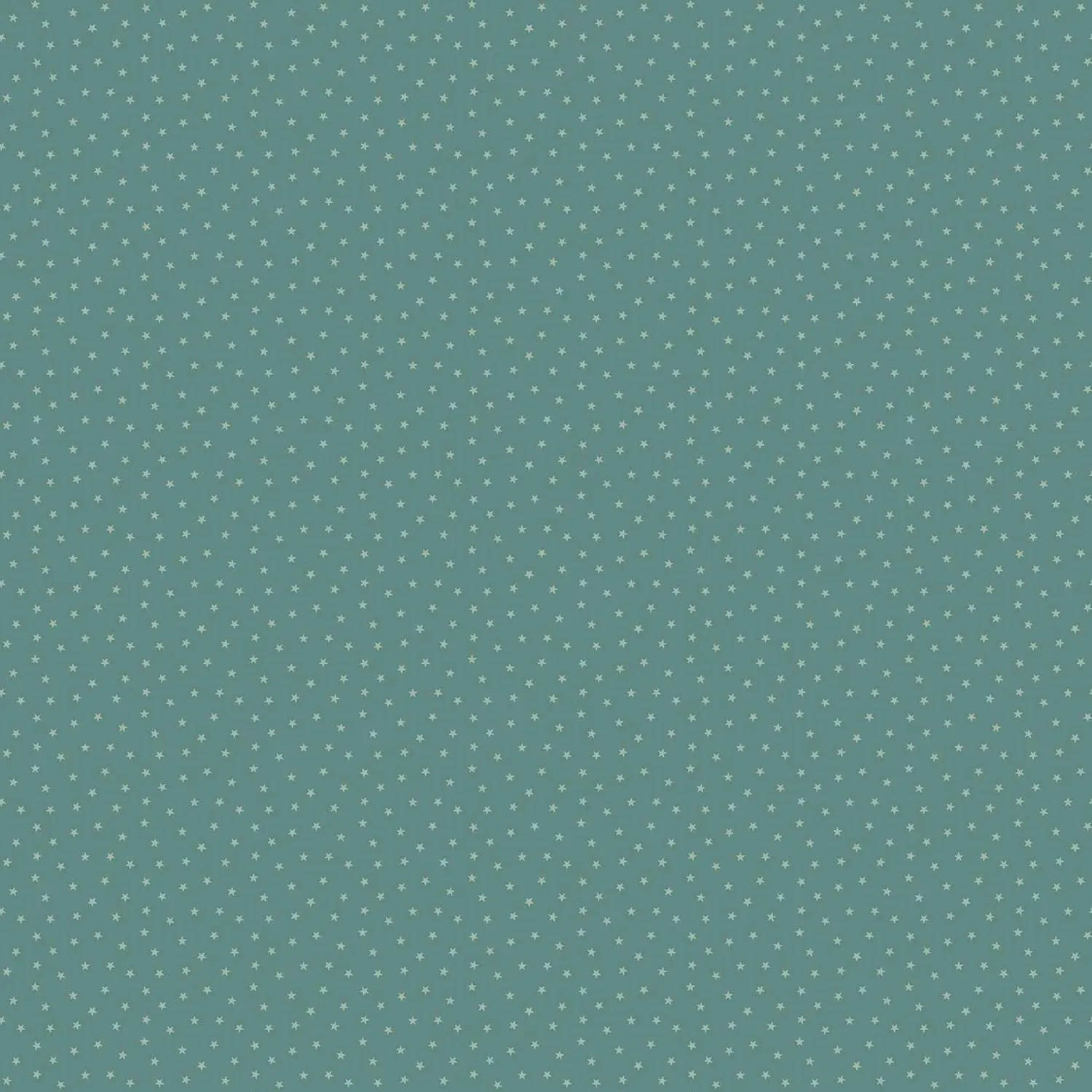 Edyta Sitar | Twinkle | Indian Ocean