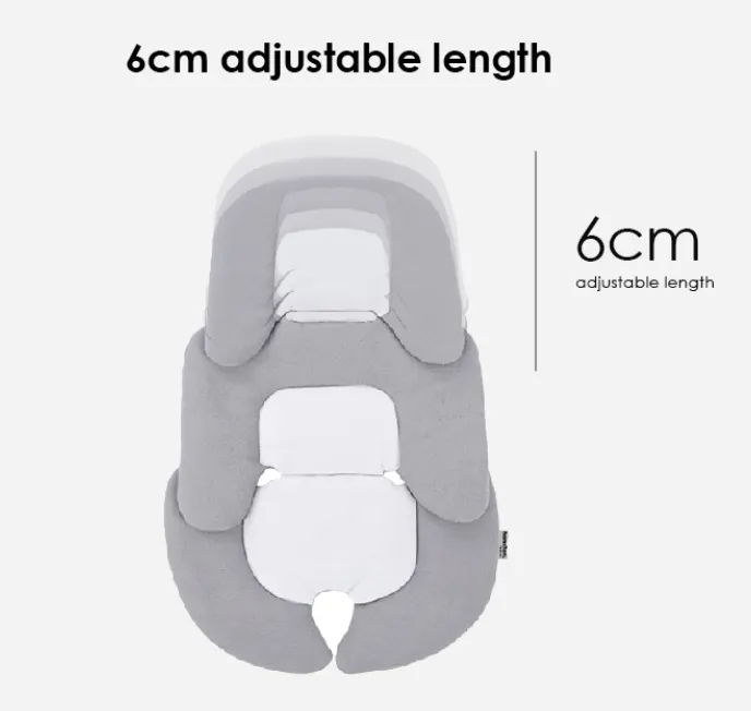 Hamilton Head & Body Support