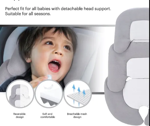 Hamilton Head & Body Support