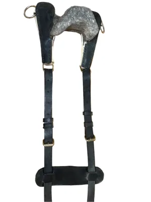 Horse Sized Cruppers
