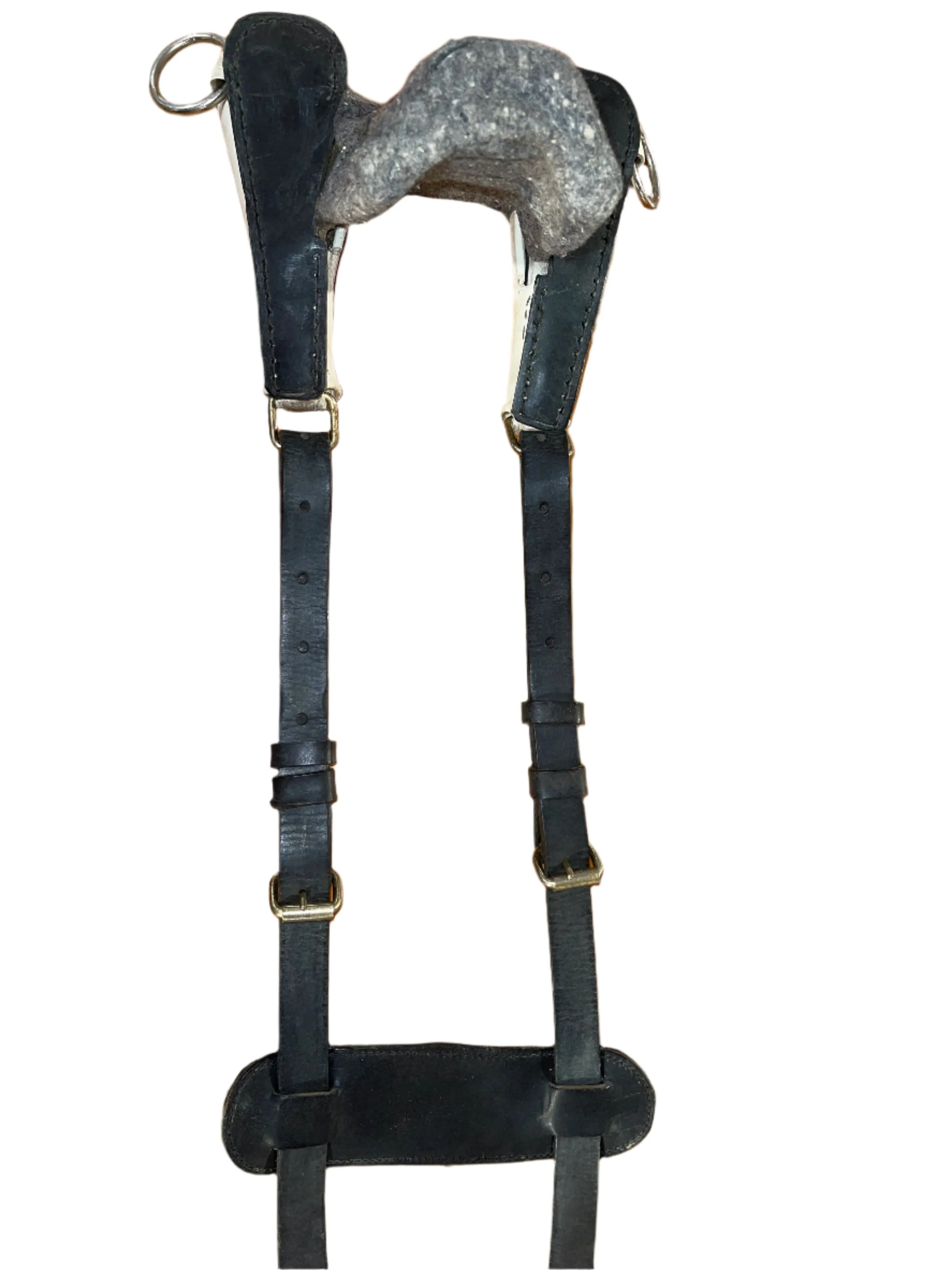 Horse Sized Cruppers