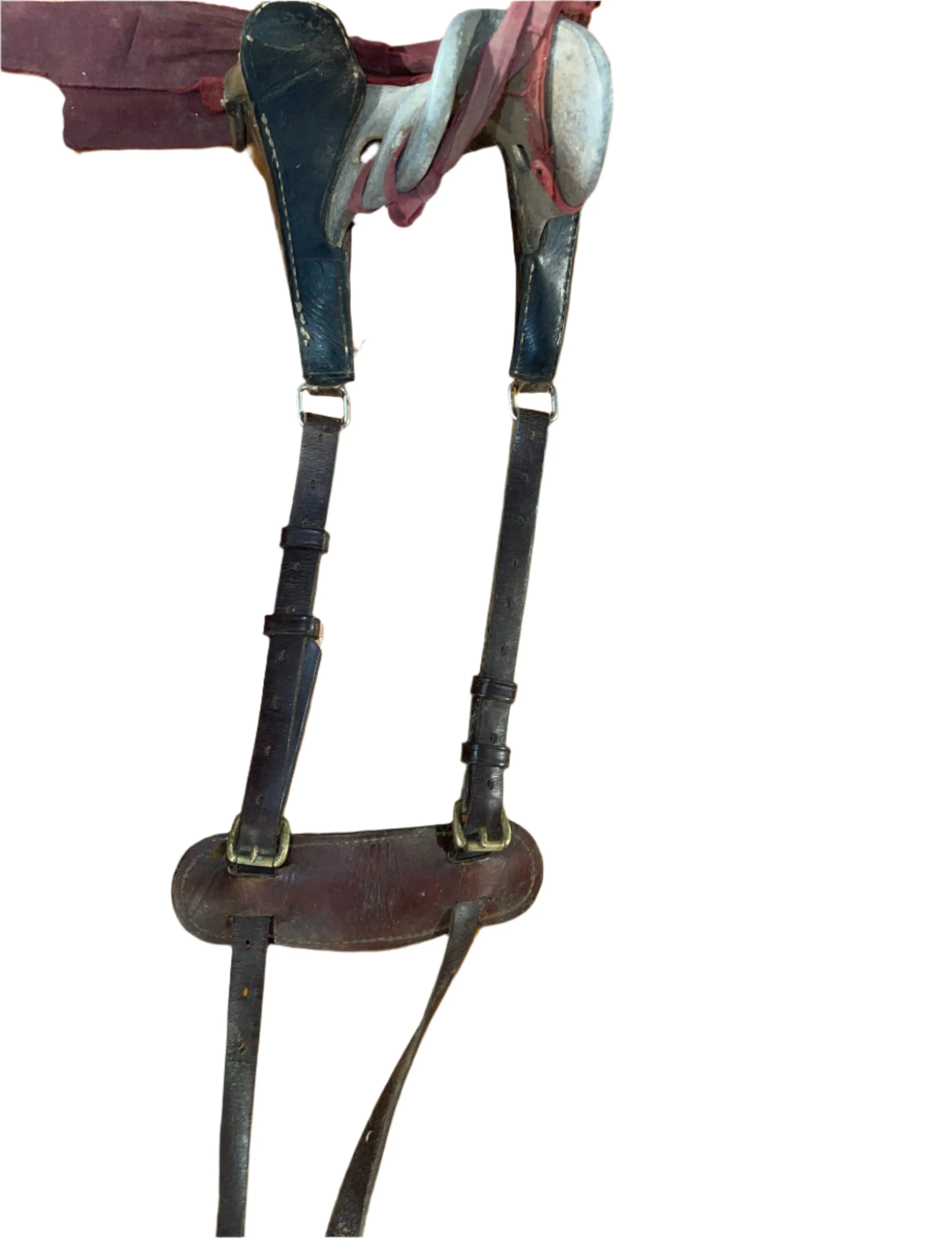 Horse Sized Cruppers
