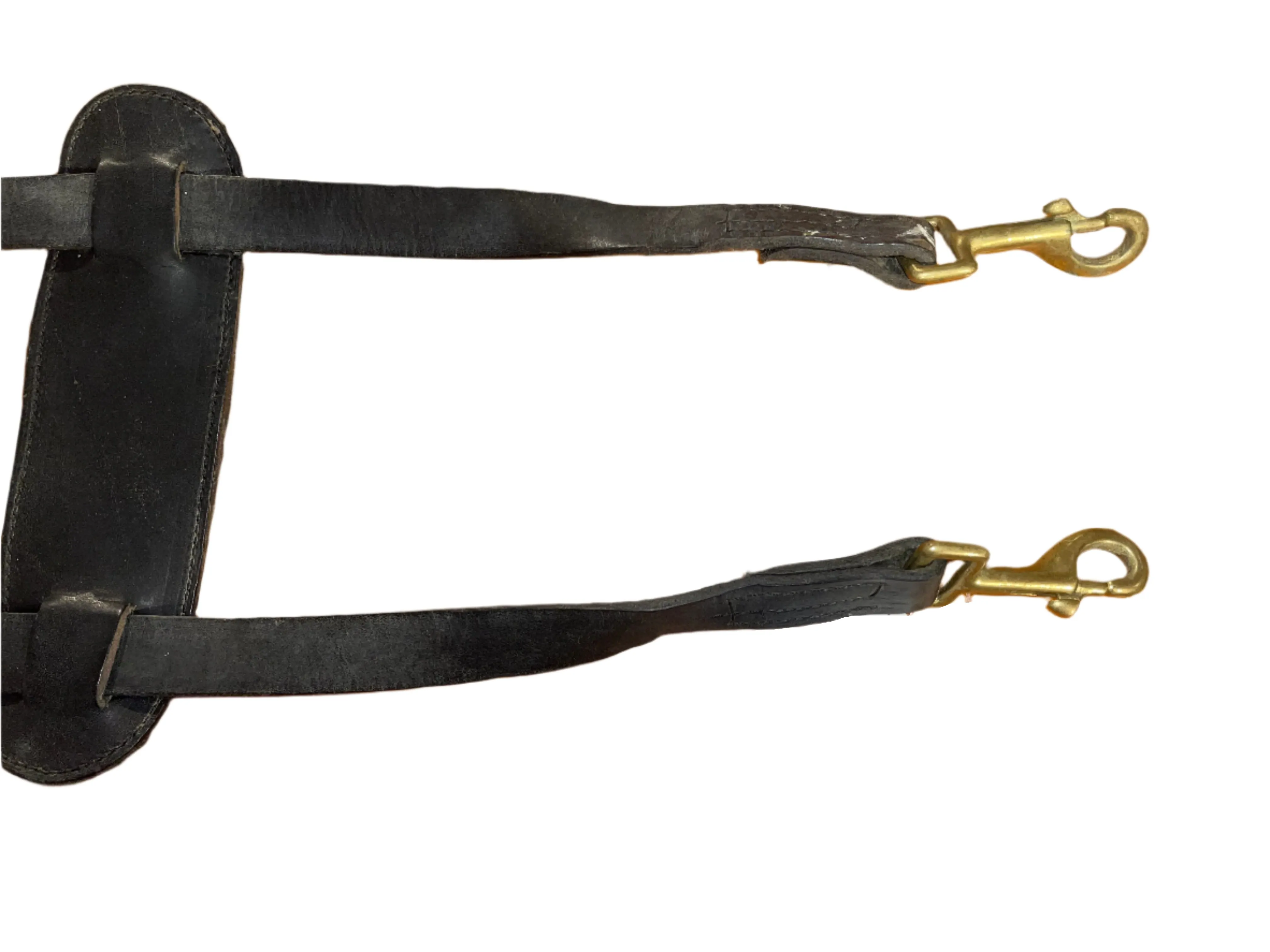 Horse Sized Cruppers