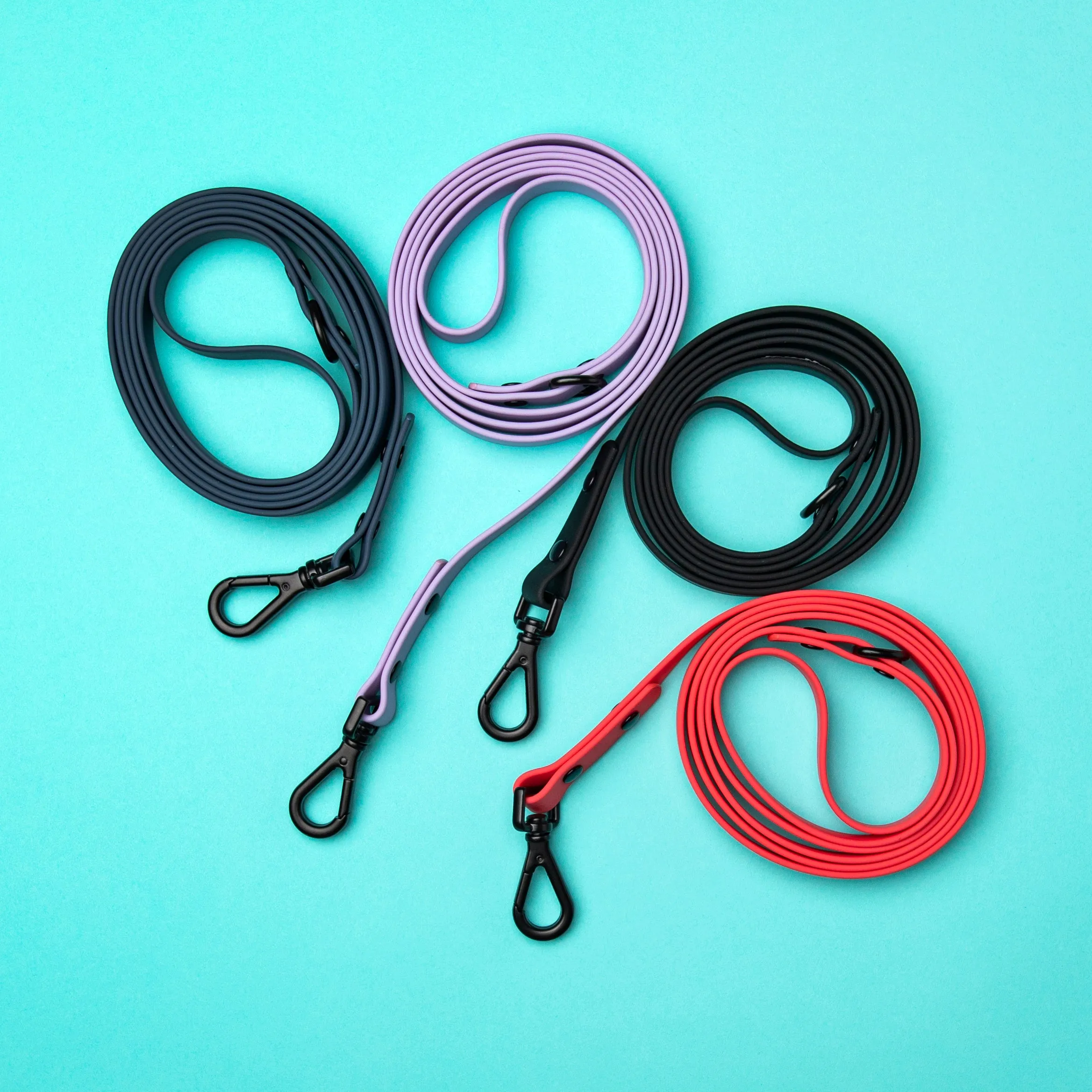 Leash - Pepper