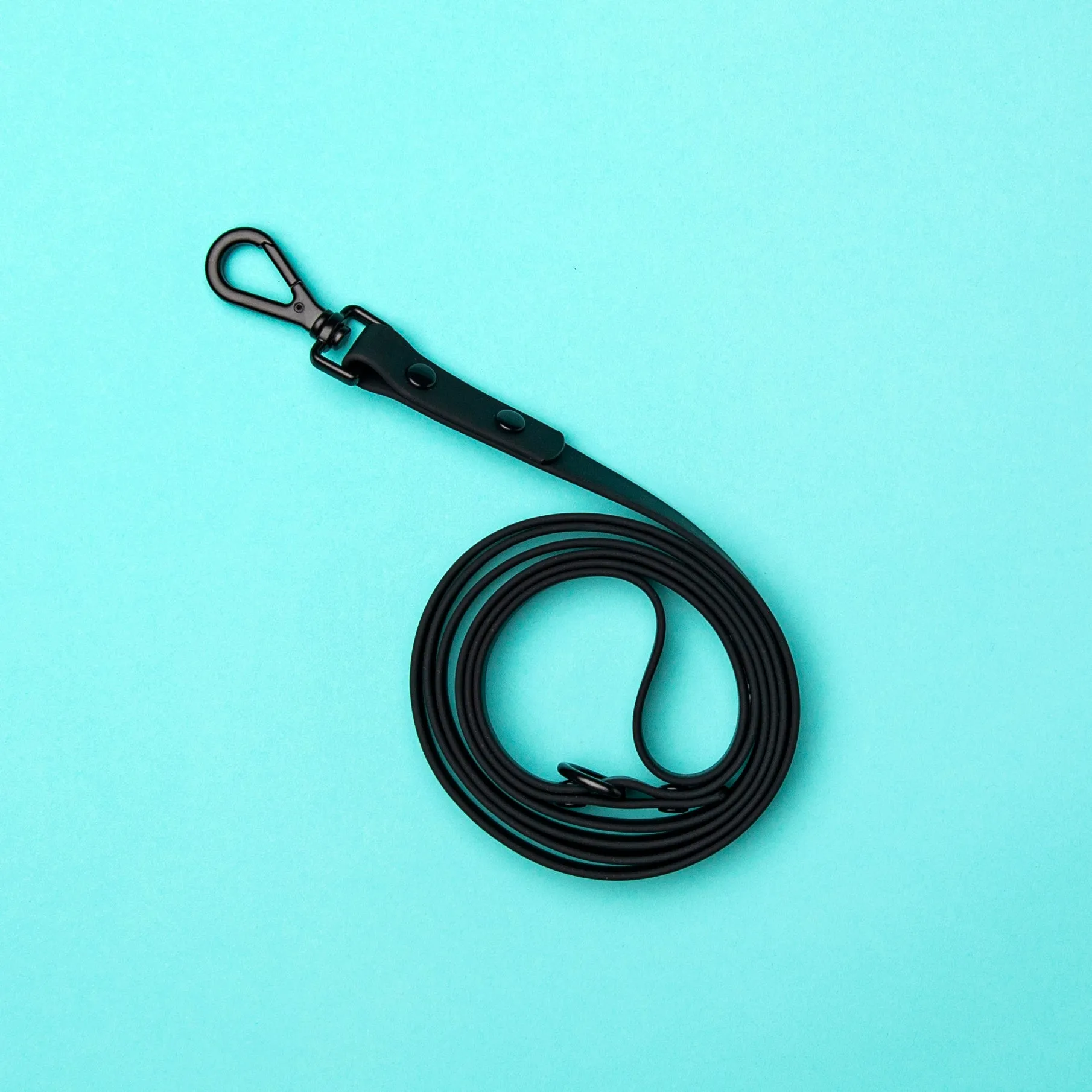 Leash - Pepper