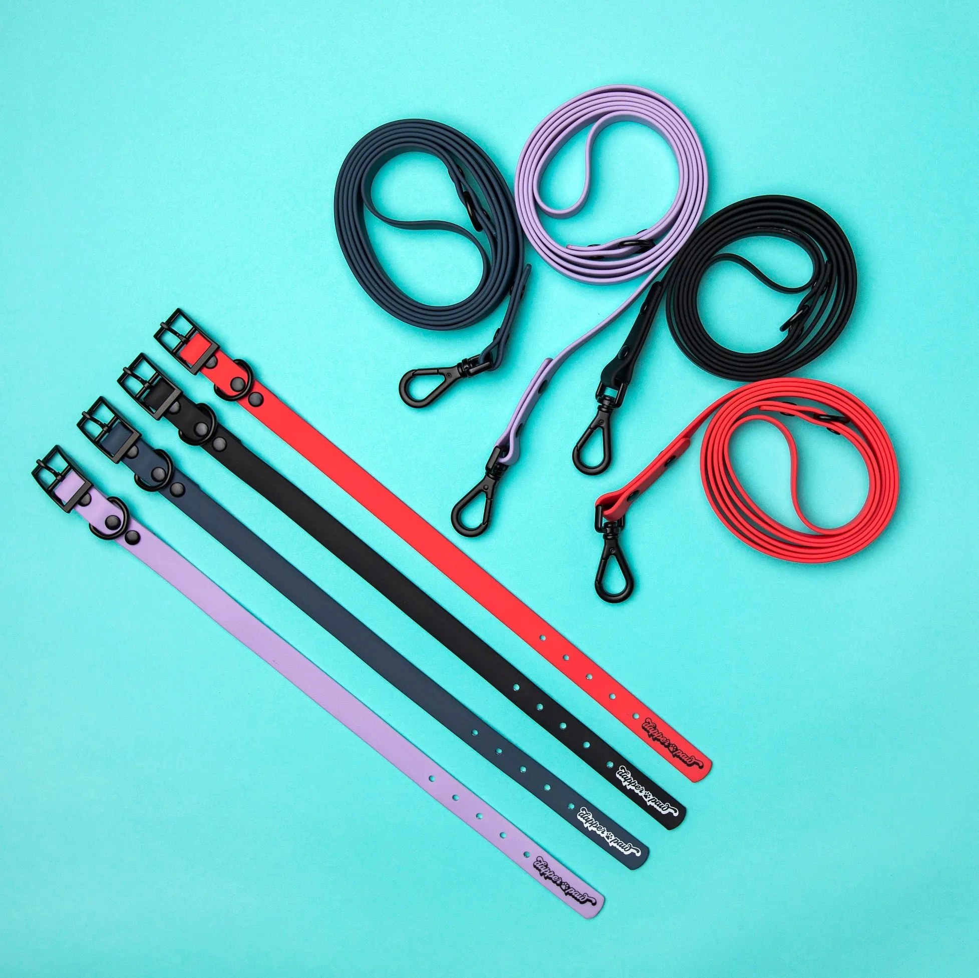 Leash - Pepper