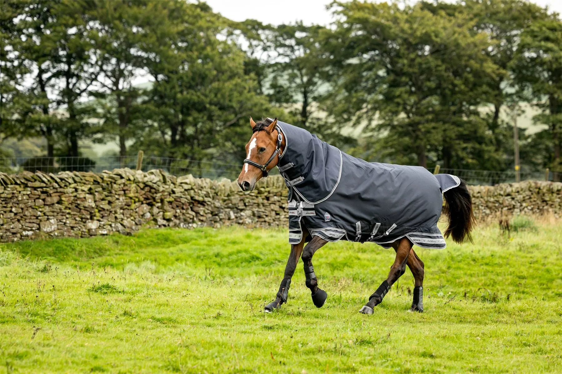 LeMieux Arika Storm-Tek Rug 100g
