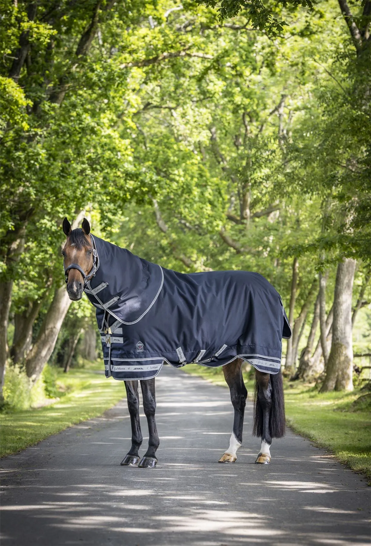 LeMieux Arika Storm-Tek Rug 100g