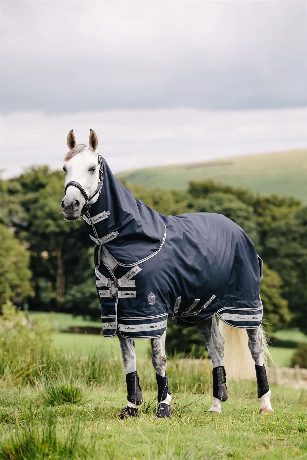 LeMieux Arika Storm-Tek Rug 100g