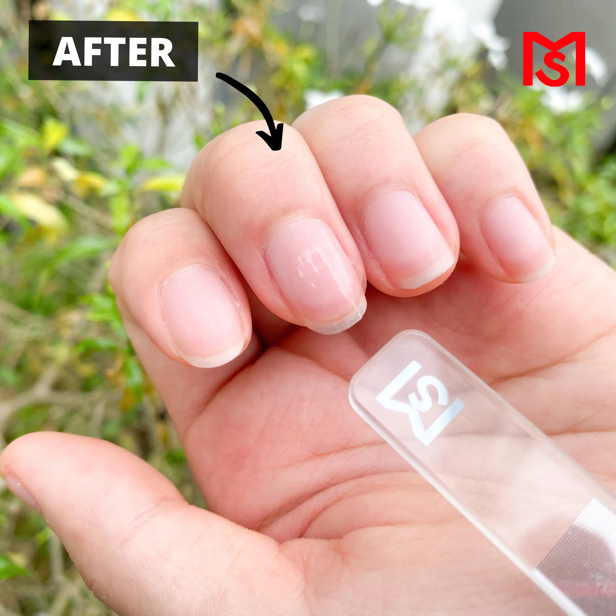 Mini Nail Shiner