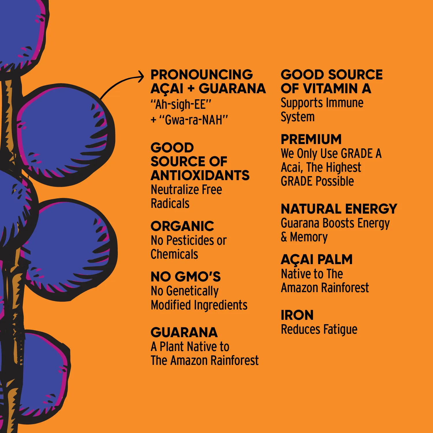 Organic Acai Traditional (Sweetened) Bite-Sized Pieces 20 lbs - Bulk