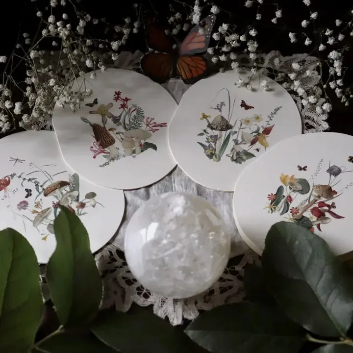 Oval Still-Life Card, multiple styles