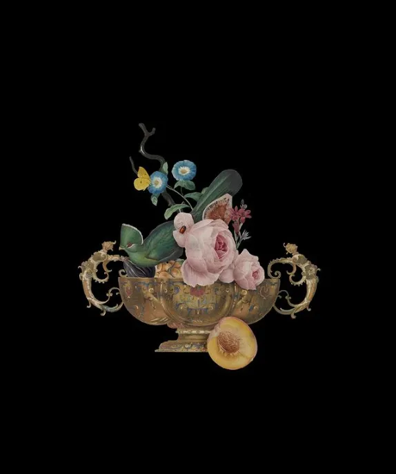 Oval Still-Life Card, multiple styles