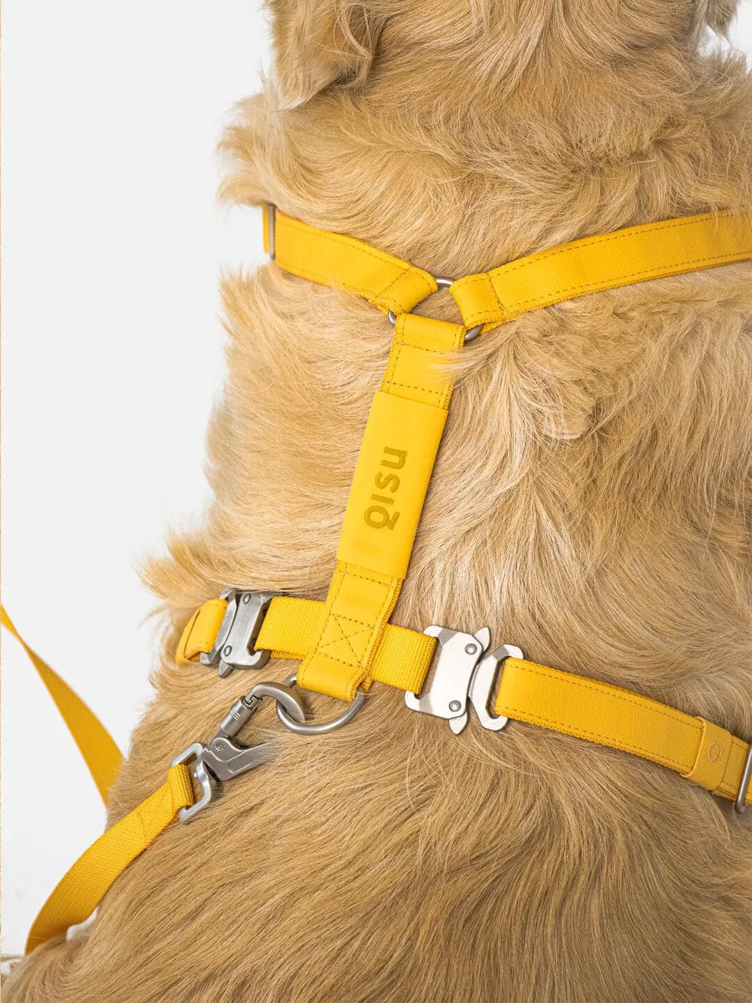 Qisu - Dog Harness | Air Collection: / Curry