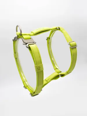 Qisu - Dog Harness | Air Collection: / Kiwi
