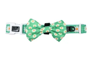 "Fresh as a Daisy" Collar & Bowtie