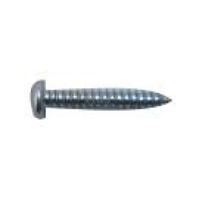 Riccar/ Carpet Pro Lower Cord Hook Screw