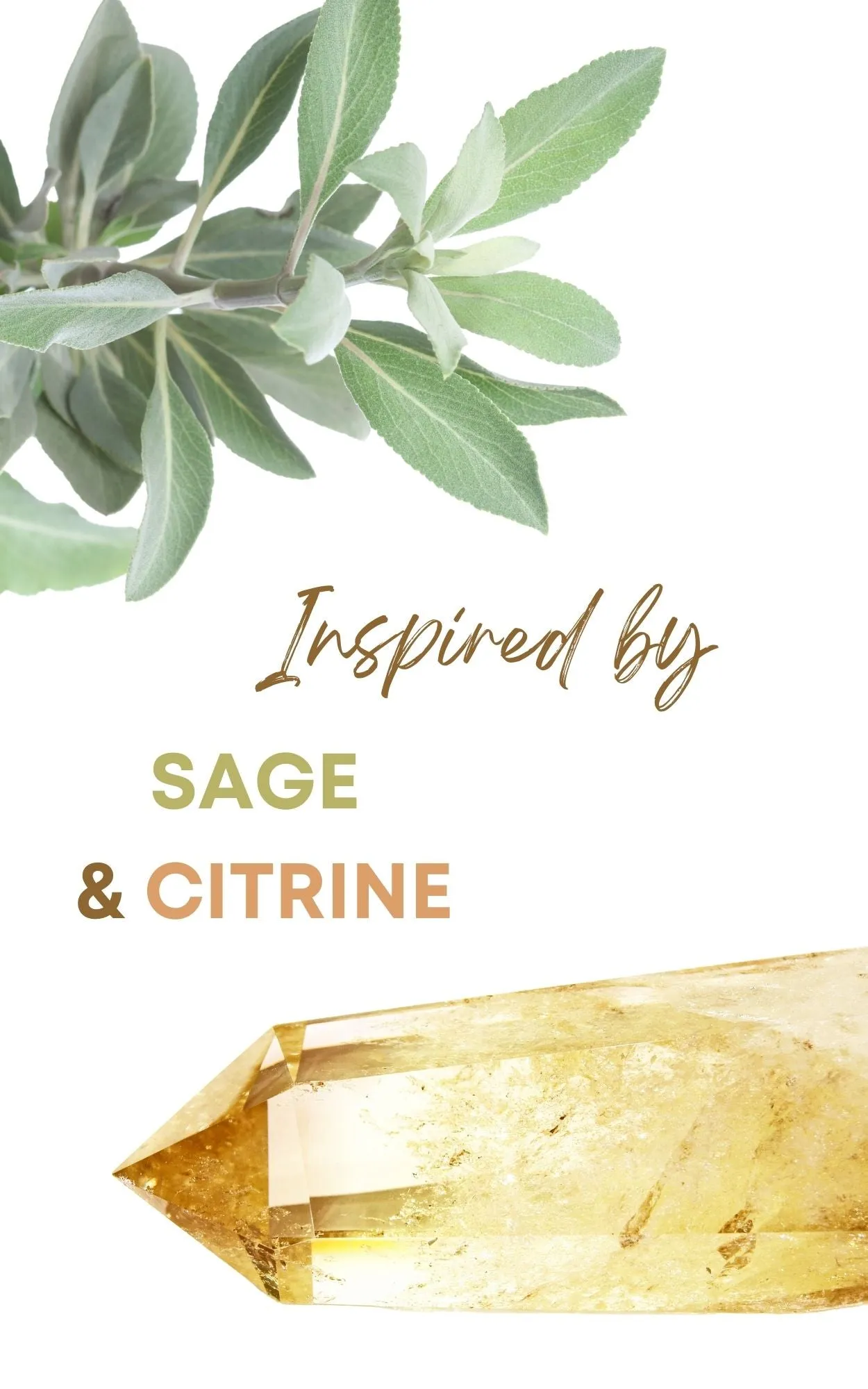 Sage & Citrine Blend Perfume Oil Concentrate Mini Rollie by Sage