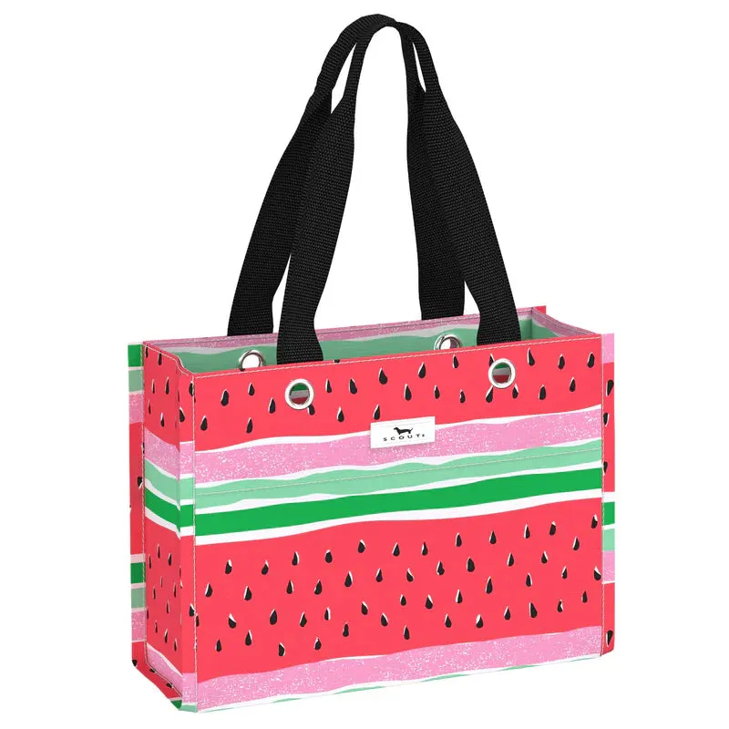Scout - Tiny Package - Melondramatic