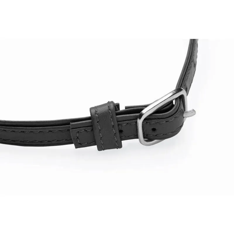 Sex Pet Leather Choker w/ Silver Ring Black