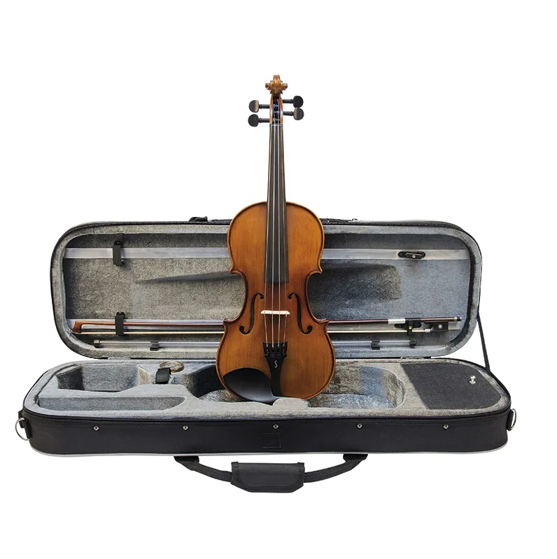 Stentor Graduate 3/4 Violin Outfit