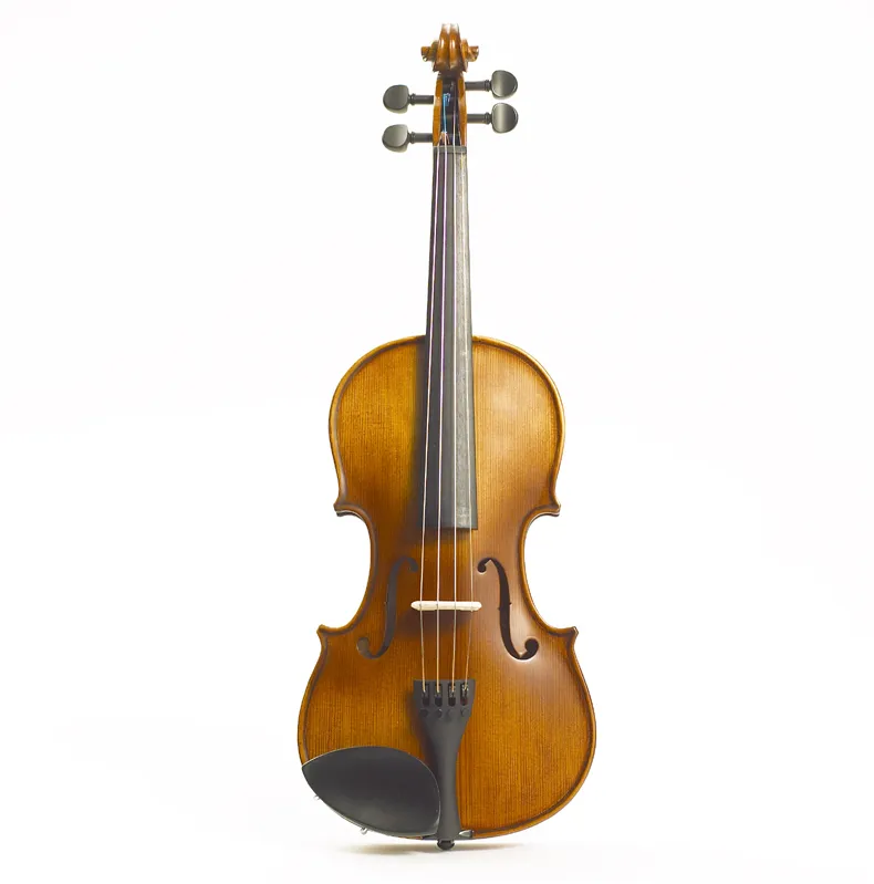 Stentor Graduate 3/4 Violin Outfit