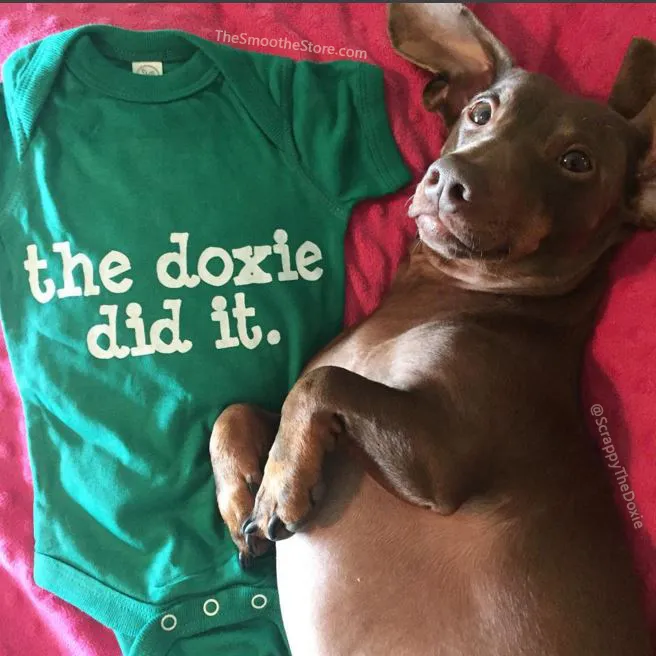 The Doxie Did It | One Piece Baby Onesie