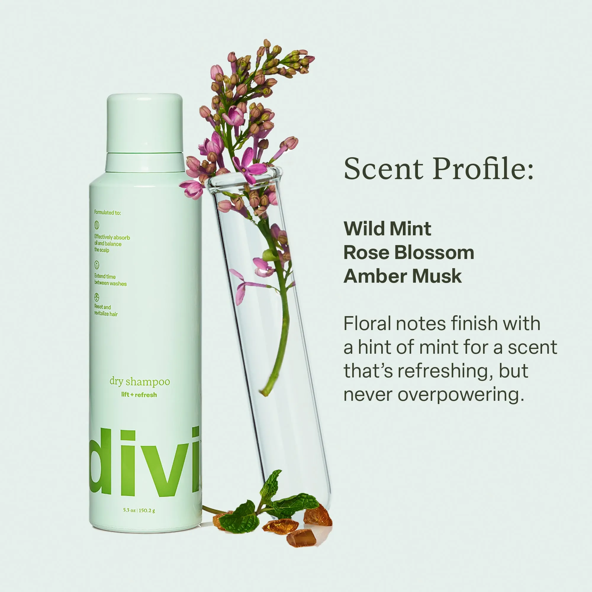 Travel-Sized Dry Shampoo