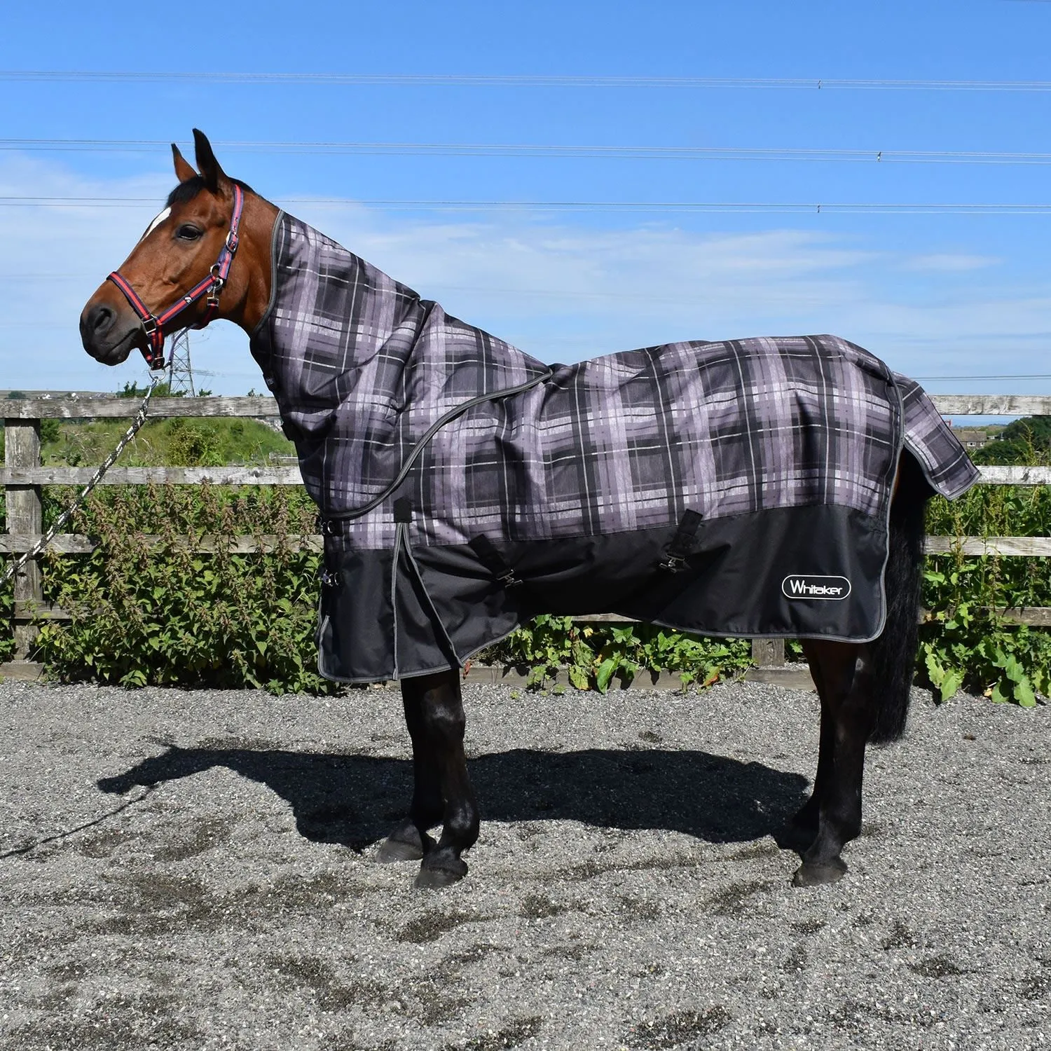 Whitaker Newton Turnout Rug Detachable Neck 200Gm