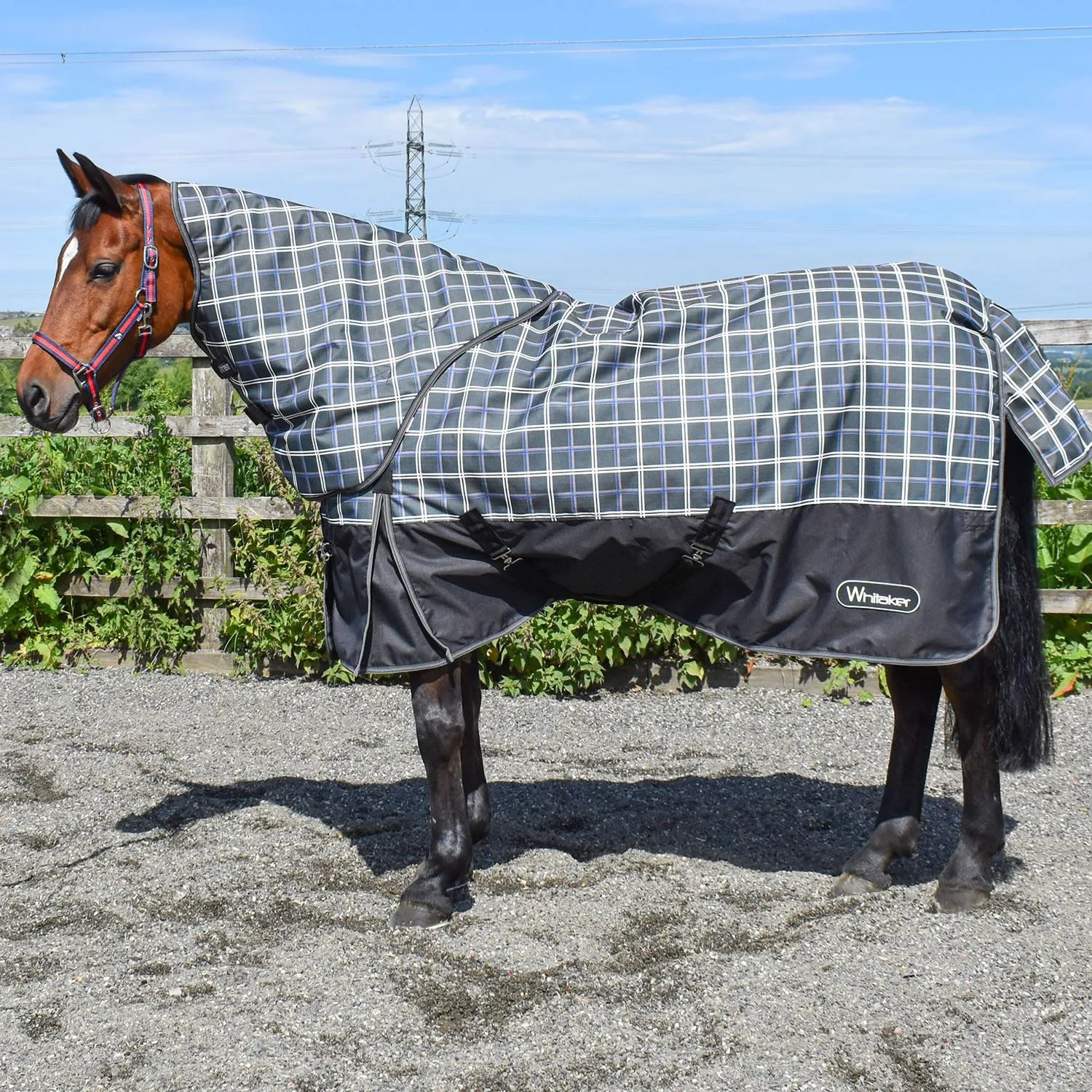 Whitaker Newton Turnout Rug Detachable Neck 200Gm